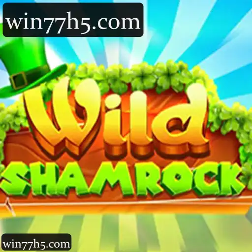 win77 e WildShamrock: Aventura em Apostas Online com Cassino e Esportes